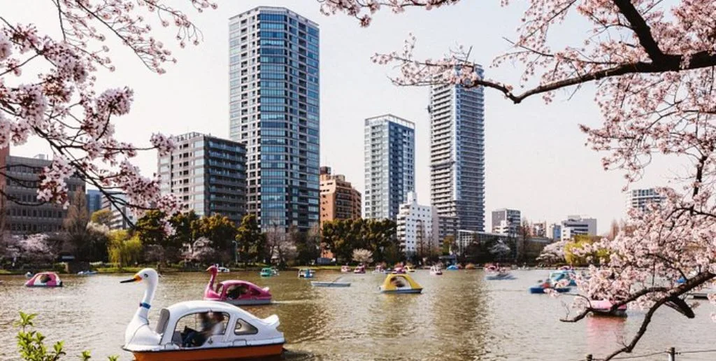 SriLankan Airlines Tokyo Office in Japan