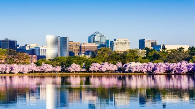 Jetblue Airlines Arlington Office in Texas