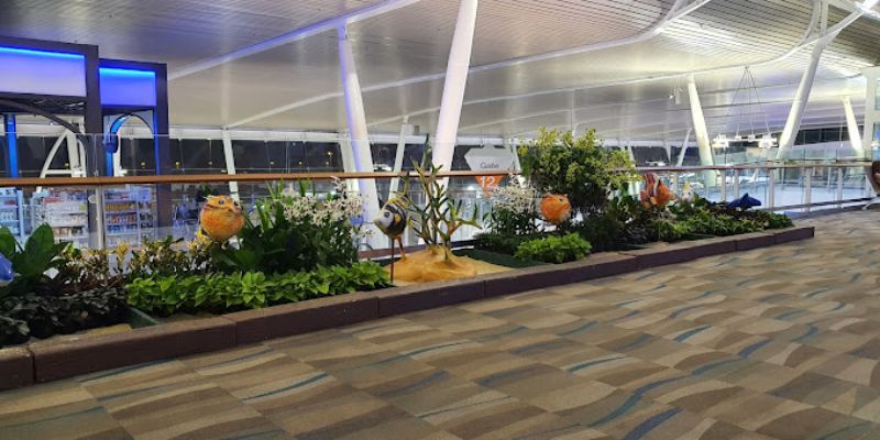 Qatar Airways HKT Terminal